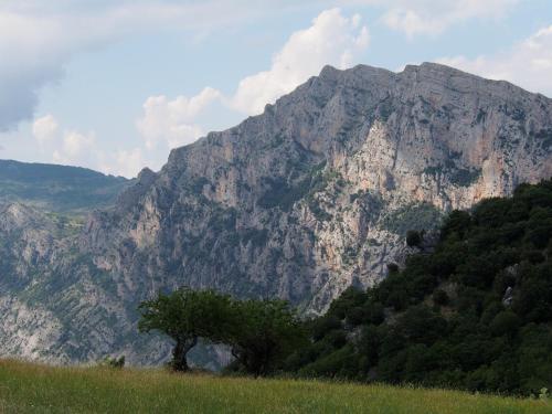 Bed & Breakfast Il Belvedere