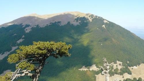 Bed & Breakfast Il Belvedere