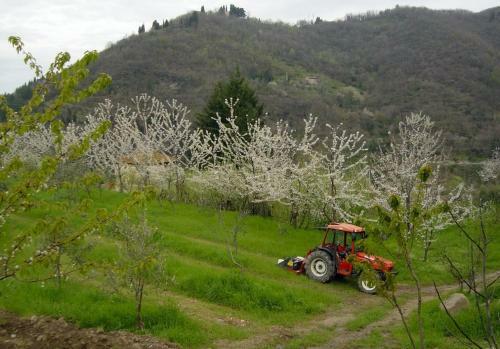 Agroturismo Agriturismo Luce
