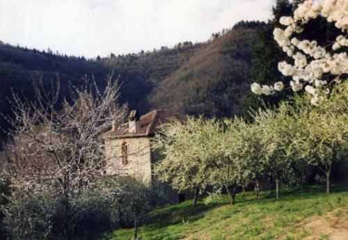 Agroturismo Agriturismo Luce