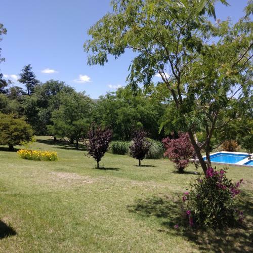 Llanten Dorado Caba�as