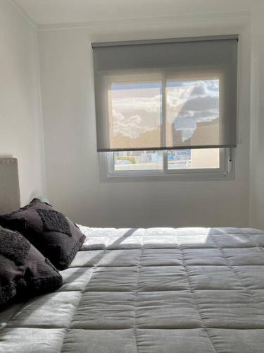 Apartamento Saavedra 118