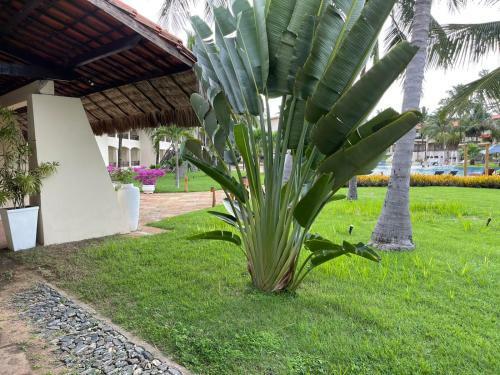Hotel Sancity Rota Das Emo��es By Nobile