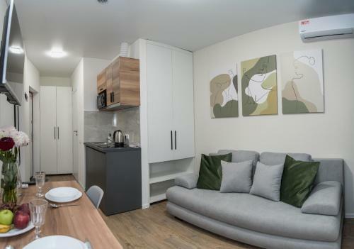 Business Apartments