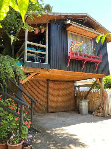 Casa Palafito