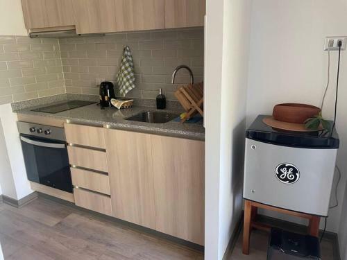 Apartamento Departamento Studio, Puc�n, Camino Al Volc�n 915
