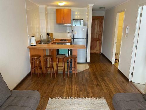 Apartamento Departamento Puc�n
