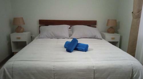 Apartamento Comodo Departamento Puc�n