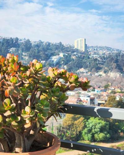 Apartamento Departamento Familiar En Plan De Vi�a Del Mar
