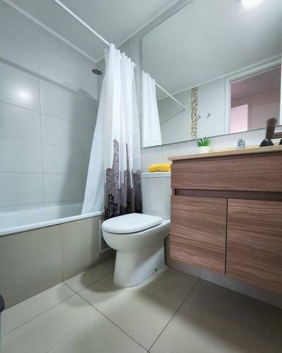 Apartamento Departamento Familiar En Plan De Vi�a Del Mar