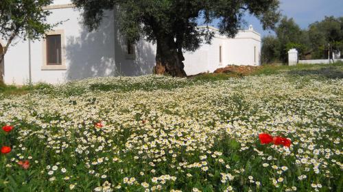 Agroturismo Masseria De Michele