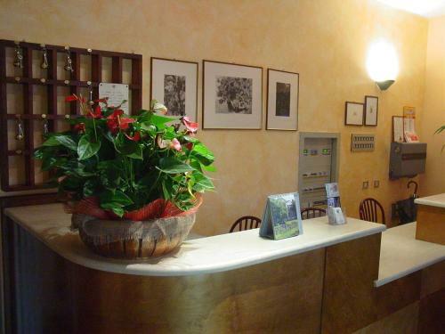 Hotel Albergo Ristorante La Scaiola