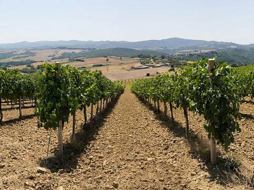 Holiday Home Podere Schioppello