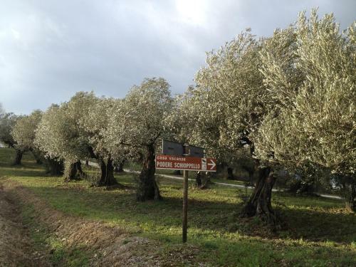 Holiday Home Podere Schioppello