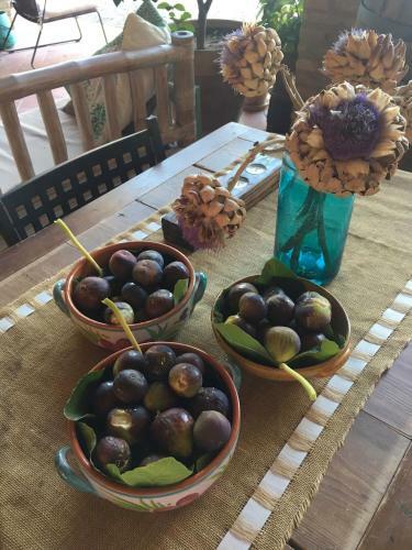 Holiday Home Podere Schioppello