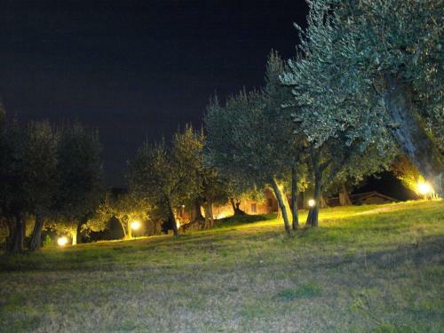 Holiday Home Podere Schioppello