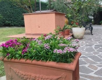 Bed & Breakfast La Dimora Di Assisi
