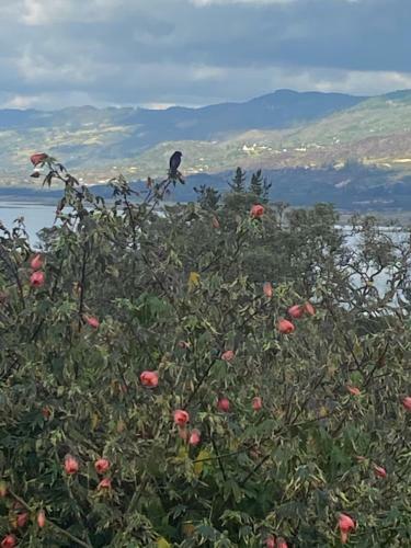 Bed & Breakfast Caba�a Piedra&cielo