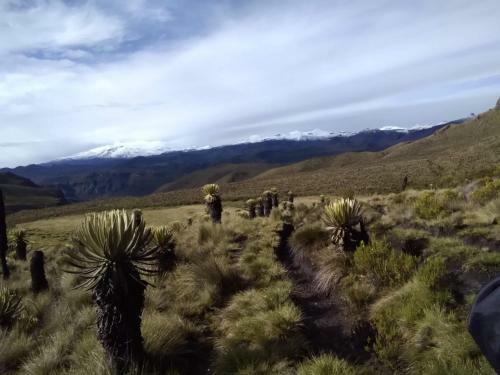 Finca Agroturistica La Reconexi�n