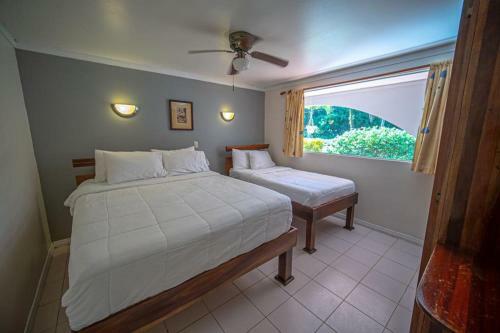 Apartamento Lovely Condo Near Monkey Habitat And Beach