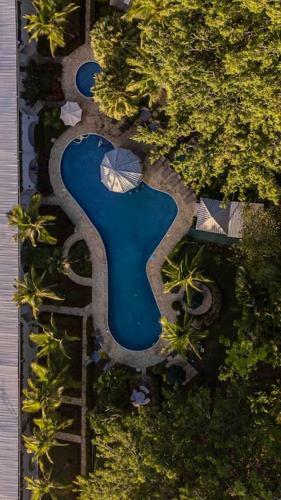 Apartamento Lovely Condo Near Monkey Habitat And Beach