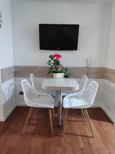 Apartamento Acogedor Y Tranquilo, En El Coraz�n De Providencia