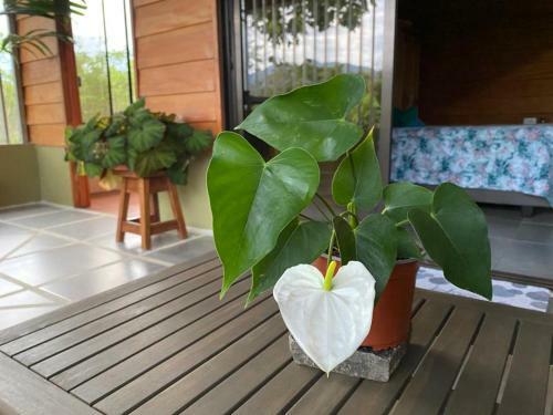 Caba�a Mariposas