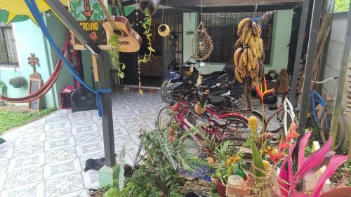 Junglebeachbliss!