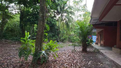 Hostel Manuel Antonio Park Jungle