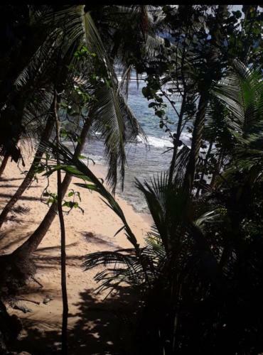 Hostal Meditating Waves