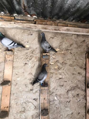Apartamento Etyjtujtrukru