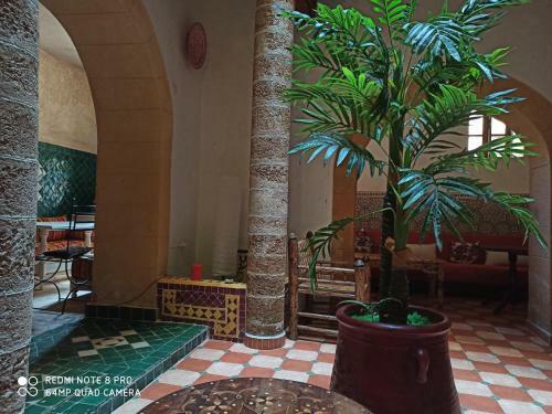 Hotel Riad Asma Rose