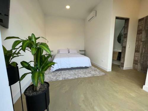 Provenza 8bedroom Home