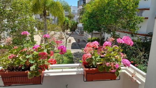 Apartamento Adarissa House