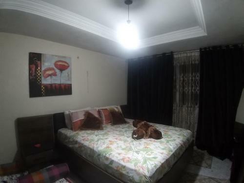 Apartamento Ryan 3