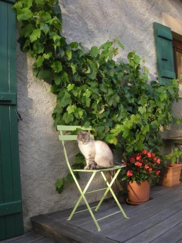Bed & Breakfast Le Champ De Liserole