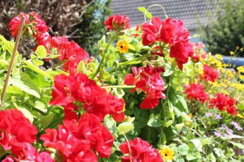 Bed & Breakfast La T�te Dans Les Etoiles