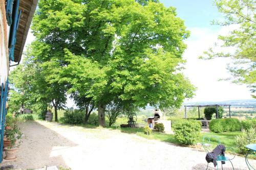 Bed & Breakfast La Pigario