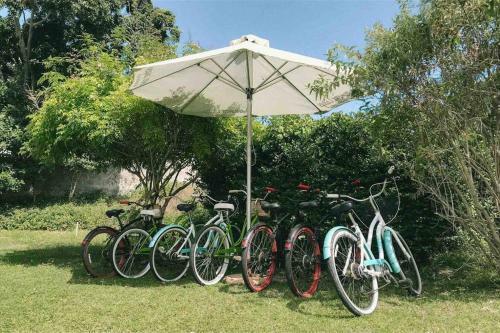 Apartamento Leisure Isle Studio