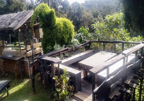 Hotel De Rock Jungle Living Resort