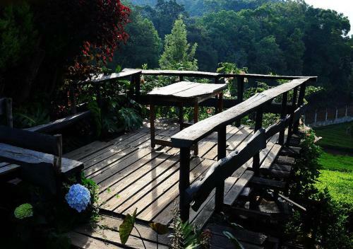 Hotel De Rock Jungle Living Resort