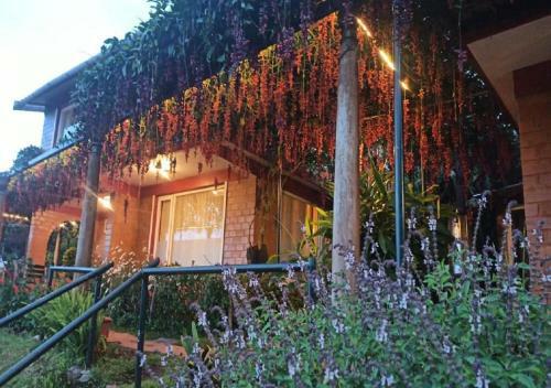 Hotel De Rock Jungle Living Resort