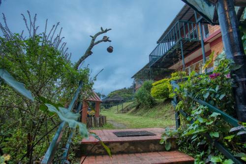 Hotel De Rock Jungle Living Resort