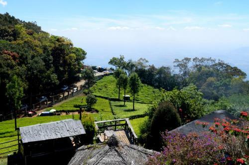 Hotel De Rock Jungle Living Resort