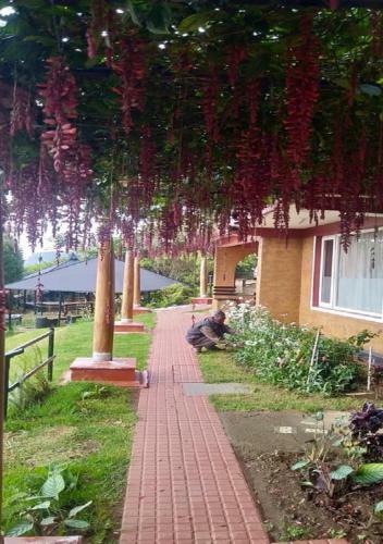 Hotel De Rock Jungle Living Resort