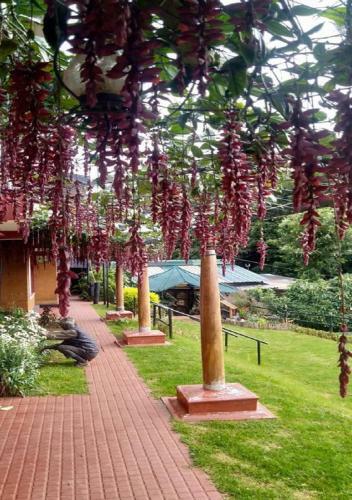 Hotel De Rock Jungle Living Resort
