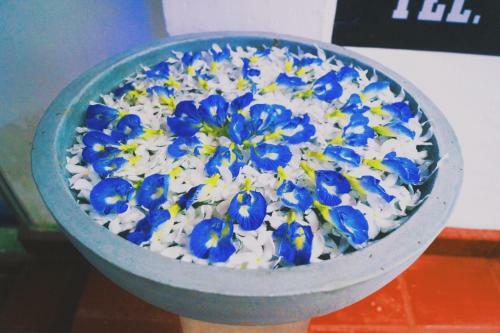 Hotel Oasis Skybeach Hostel - Negombo