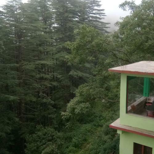 Hostal Pine Guest House Abd Restaurant