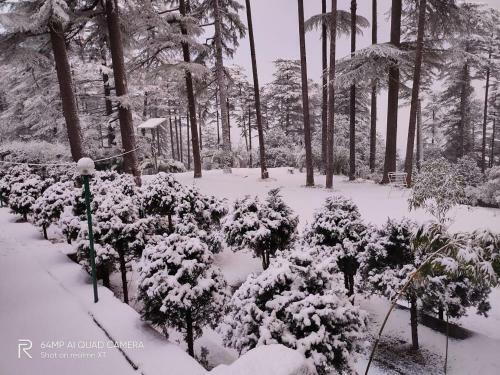 Hostal Pine Guest House Abd Restaurant