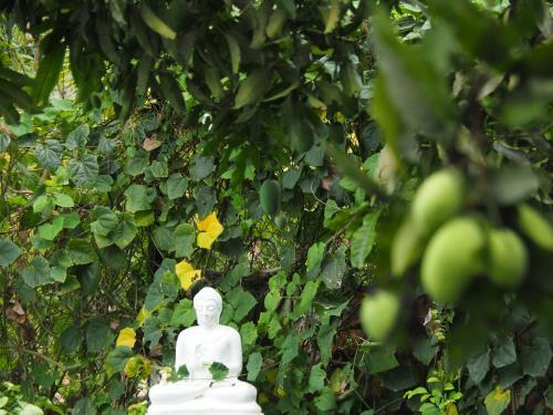 Bed & Breakfast Villa Lyvie